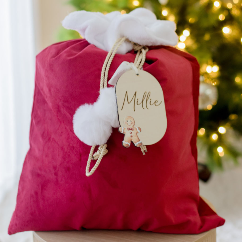 Watercolour printed Christmas Tag (Santa sack standalone tag)