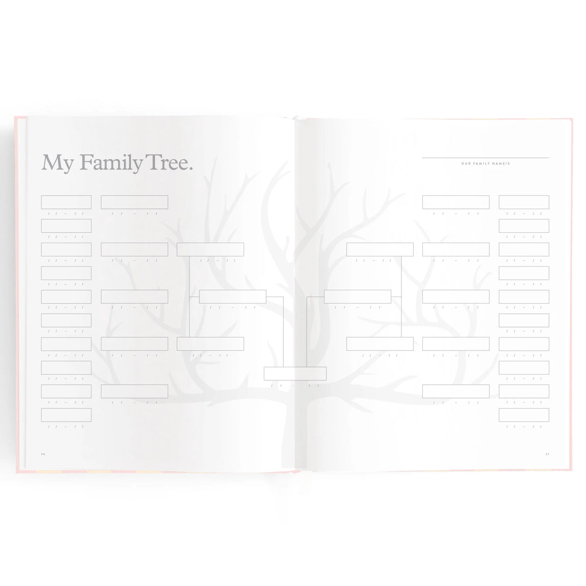 Baby book pages with area for Family Tree
