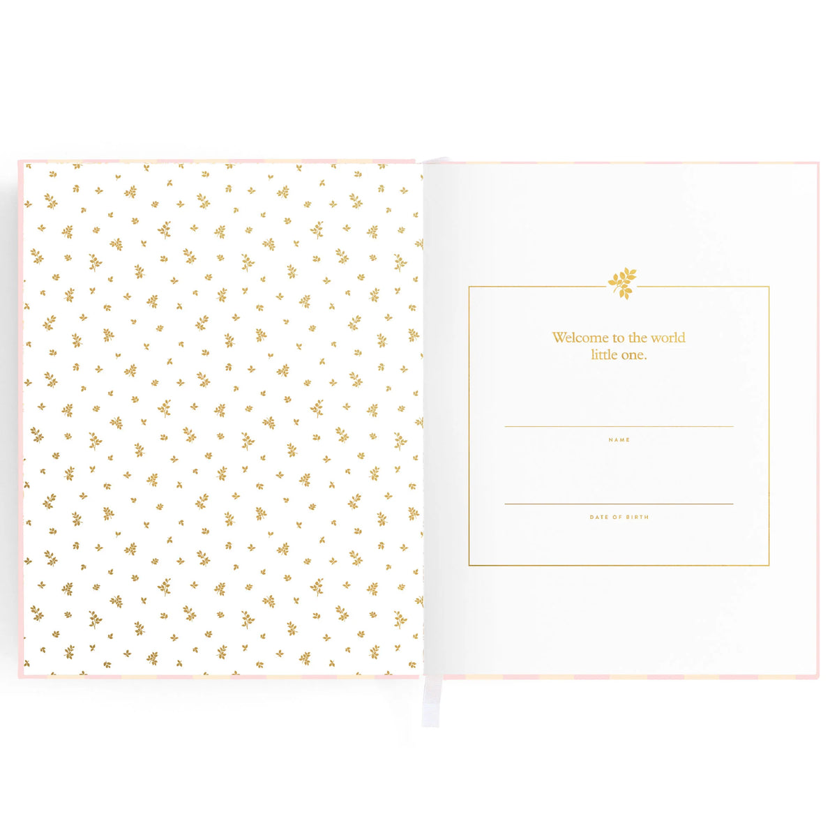 Baby book pages first page