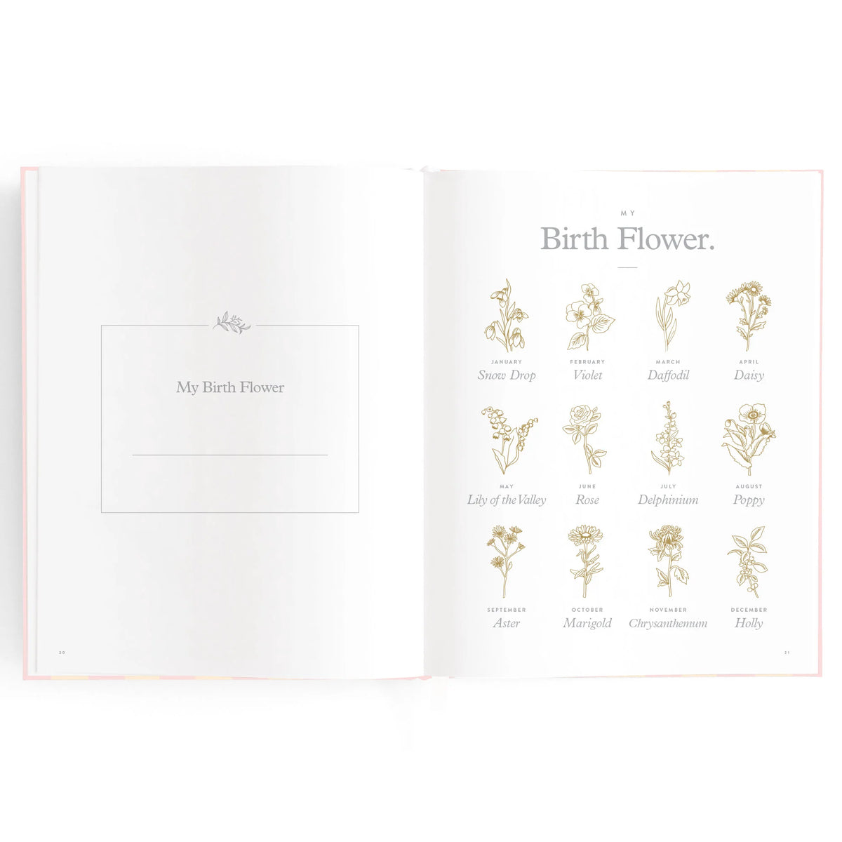 Baby book pages with area for baby's birth flower