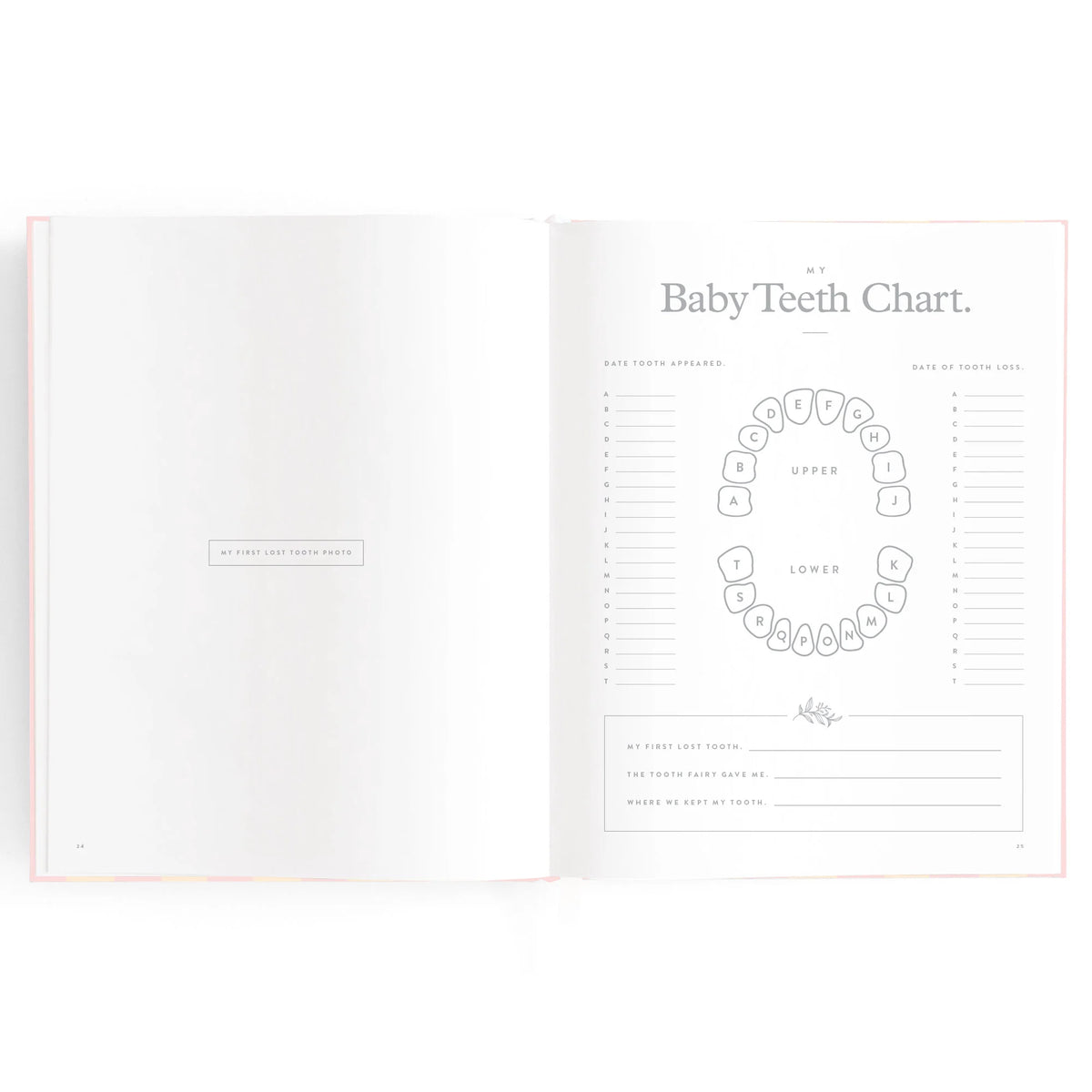 Baby book pages with area for baby teeth chart