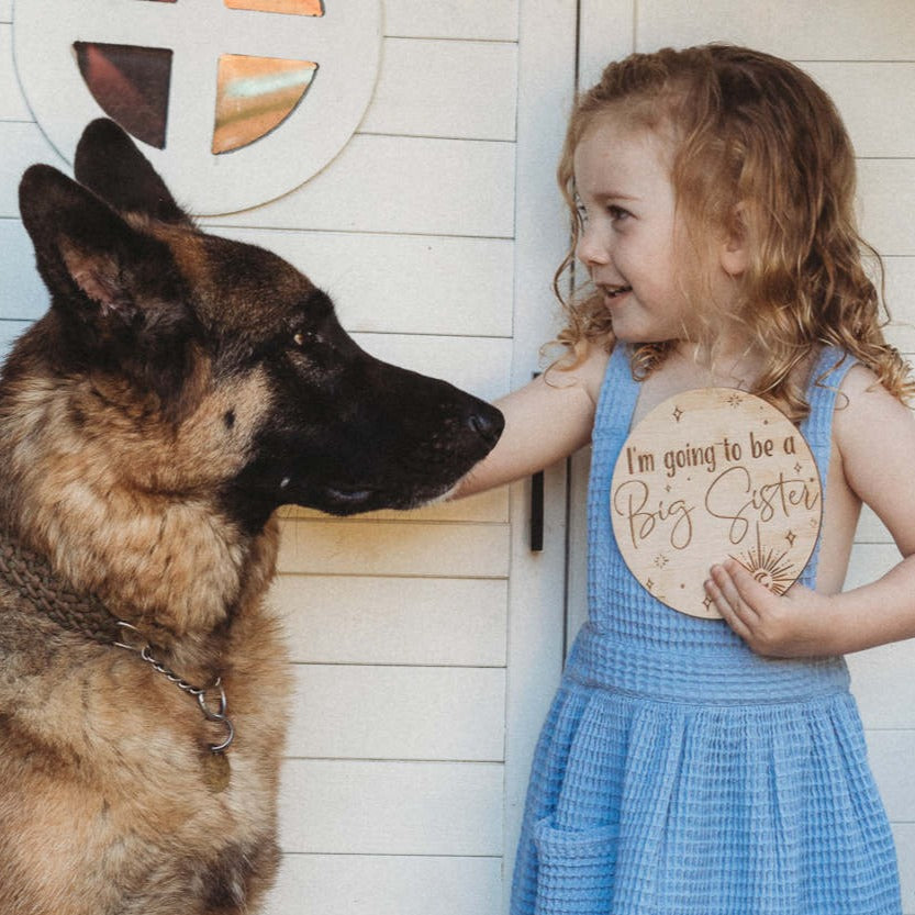 Celestial announcement plaque - Big Sister/Brother Pregnancy announcement
