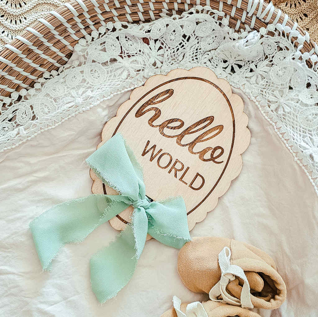 Hello World Scalloped Plaque