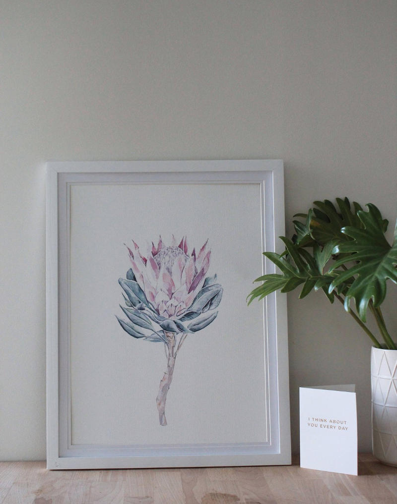 Protea Print