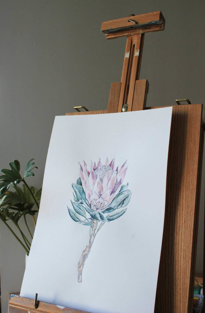 Protea Print